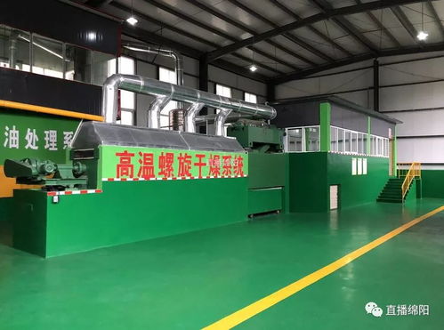 餐廚垃圾變廢為寶 與地溝油告別，邁向可持續飼料新篇章