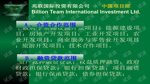 兆聯(lián)公司項(xiàng)目策劃與公關(guān)服務(wù)商業(yè)計(jì)劃書